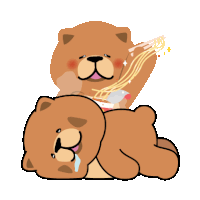 Animal Bear Sticker - Animal Bear Cute Stickers
