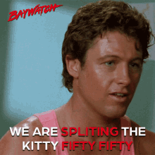 We Are Splitting The Kitty Fifty Fifty Splitting GIF - We Are Splitting The Kitty Fifty Fifty Splitting Fifty Fifty GIFs