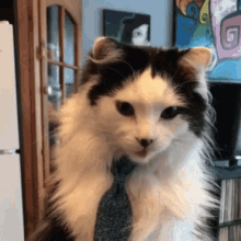 Cats Tongue Out GIF - Cats Tongue Out Cat GIFs
