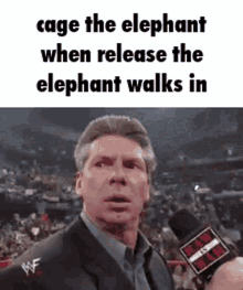 Cage The Elephant When GIF - Cage The Elephant When Walks GIFs