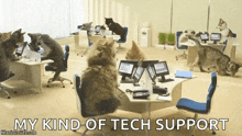 kitty computer customerservice working for the economy