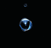 a close up of a piece of blue ice on a black background with the words colour sculpt on the bottom