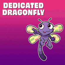 a cartoon dragonfly with the words " dedicated dragonfly " behind it
