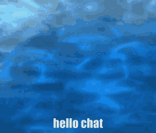Eiscue Pokemon GIF - Eiscue Pokemon Hello Chat GIFs