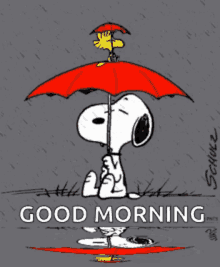 rainy morning love