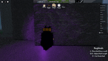a screenshot of a video game with the words keybinds at the top