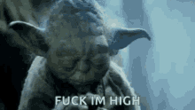 Fuck Im High Yoda GIF - Fuck Im High Yoda Weed GIFs