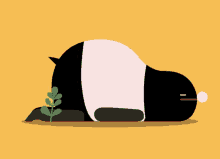 an illustration of a black and white animal laying down with a plant in front of it