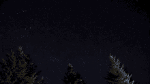 a night sky with trees in the foreground and stars in the background
