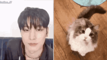 Juyeon Juyeon Cat GIF - Juyeon Juyeon Cat Juyeon Tbz GIFs