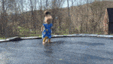 two little girls are playing on a trampoline in the woods