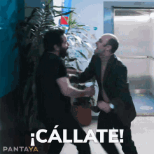Cállate Andy GIF