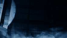 a shadow of a person is cast on a building in the dark