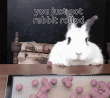 Rabbitroll GIF