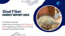 Sisal Fiber Market Report 2023 Market Research Report GIF