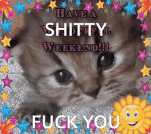 Have A Shitty Weekend Weekend GIF - Have A Shitty Weekend Weekend Shit GIFs