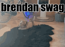 Brendan Swag Tubby GIF - Brendan Swag Tubby Swag GIFs