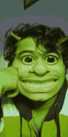 Shrek Shrek Meme GIF - Shrek Shrek Meme Shrek Meme Face GIFs