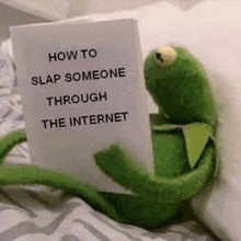 kermit the frog is holding a book that says `` how to slap someone through the internet '' .