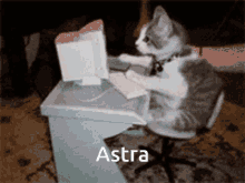 Astra GIF - Astra GIFs