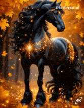 a black horse with a long mane is surrounded by golden lights and leaves