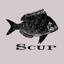Scup Fish GIF