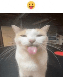 a cat is sticking its tongue out and a smiley face is behind it .