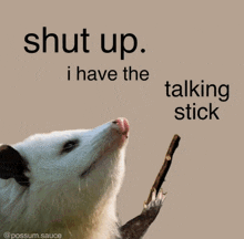 a opossum holding a stick with the words shut up i have the talking stick behind it