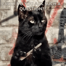 Cat Annoyed GIF - Cat Annoyed Bored GIFs