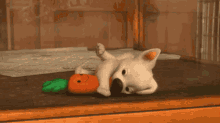 bolt puppy playful carrot cute