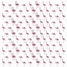 Vgk Vgk Flamingo GIF - Vgk Vgk Flamingo Flamingo GIFs