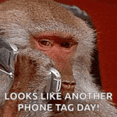 Monkey Phone Call GIF - Monkey Phone Call Listening GIFs