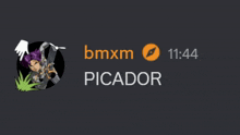 bmxm picador has a purple haired character with a gun