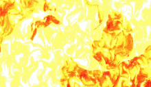 a close up of the sun 's rays with a black background