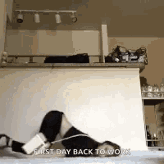 Lazy Tired GIF Lazy Tired Crawl Discover & Share GIFs