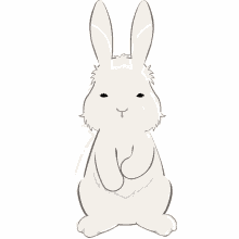 kesanitw bunny rabbit bath