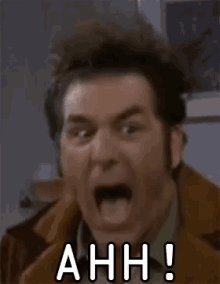 Kramer GIF - Seinfeld Kramer Ahh GIFs