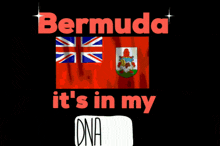 Bermuda Bermuda In My Dna GIF - Bermuda Bermuda In My Dna GIFs