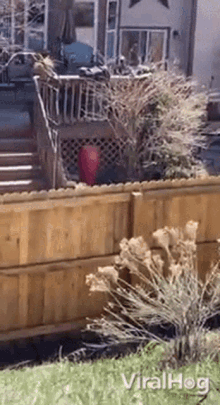 a wooden fence surrounds a backyard with a deck and stairs in the background .