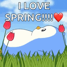 a penguin is laying in the grass with flowers and the words `` i love spring ''