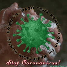Coronavirus Covid GIF - Coronavirus Covid Corona GIFs