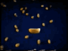 Nuts Crazy GIF - Nuts Crazy Youre Crazy GIFs