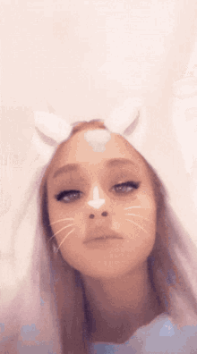 Filter Cat GIF - Filter Cat Ariana Grande GIFs