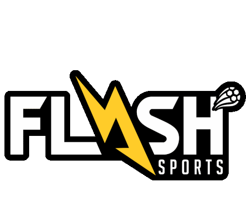 Flash Flash Sports Sticker - Flash Flash Sports Sports Stickers
