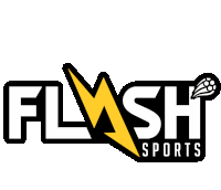 Flash Flash Sports Sticker - Flash Flash Sports Sports Stickers