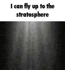 a black and white image with the words `` i can fly up to the stratosphere '' on it .