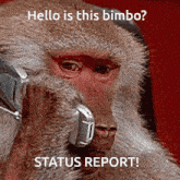 Tidus Bimbo GIF - Tidus Bimbo Monkey GIFs