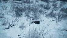 a snowy field with a black object in the middle of it