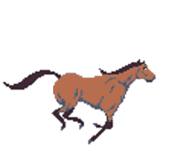 beautiful running horse sprite animation