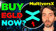 Multiversx Mvx GIF - Multiversx Mvx Xmoney GIFs